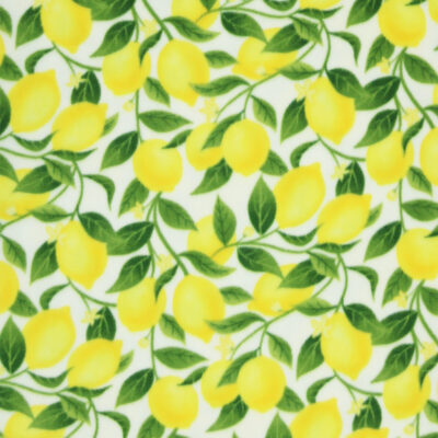 Yellow Bold Summer Lemon Branches Anti Pill Plush Fleece Fabric