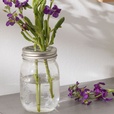3 Mason Jar With Flower Frogs by Park Lane